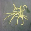daycat.jpg