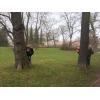 Weimar2016001