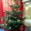 weihnachtsbaum2005-1.jpg