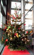 weihnachtsbaum2013