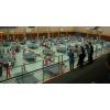 tischtennisturnier20130002.jpg